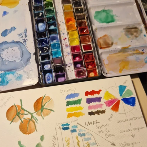 Atelier aquarelle débutant: Les fruits