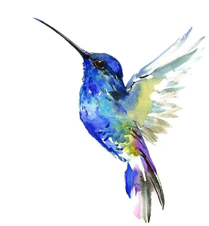 Atelier débutant: les oiseaux à l’aquarelle